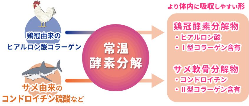 img-kakou@2x