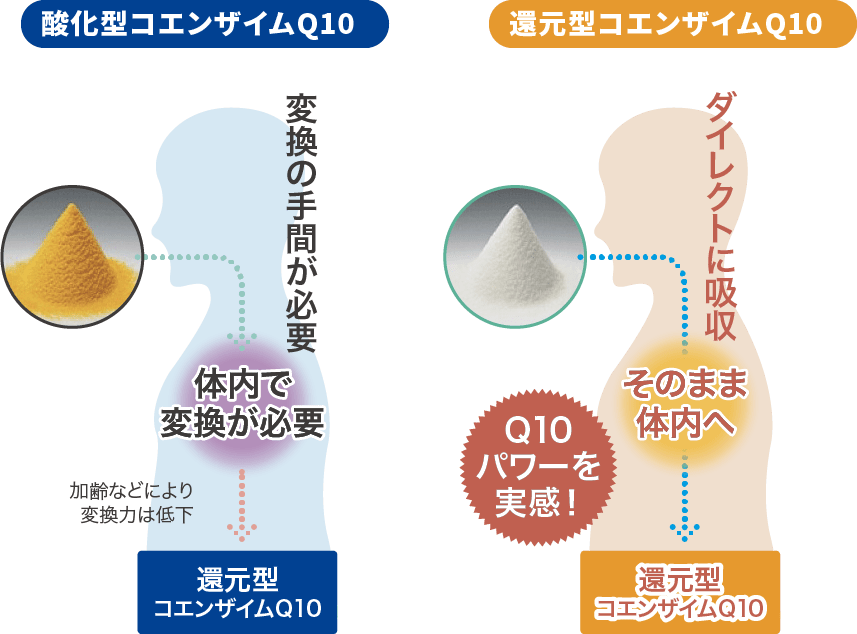 img03@2x