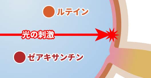 eye-01@2x