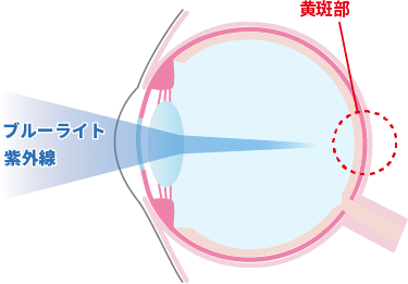 img-eye