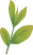 kameria.png