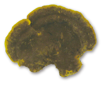 m01