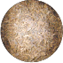 img18