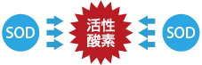 sod02